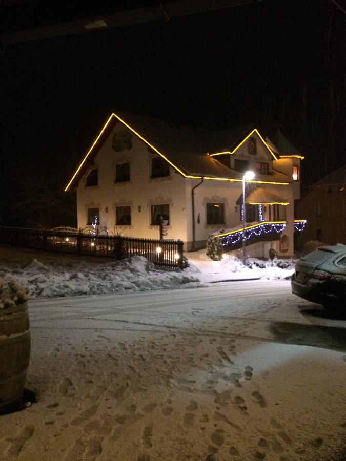 Hotel Alpenhof Markneukirchen Экстерьер фото